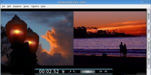 Vivia 0.1.1 screenshot 1
