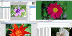WildBit Viewer 6.3 screenshot 1