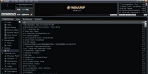 Winamp Full 5.666 screenshot 1