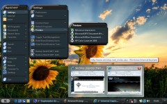 Winstep Xtreme screenshot 4
