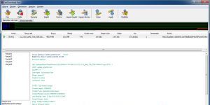 wxDownload Fast 0.6.0 screenshot 1