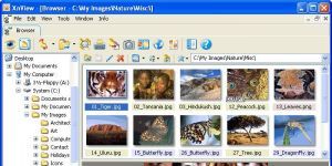 XnView 2.36 screenshot 1