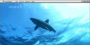 XULPlayer 0.6.0 screenshot 1