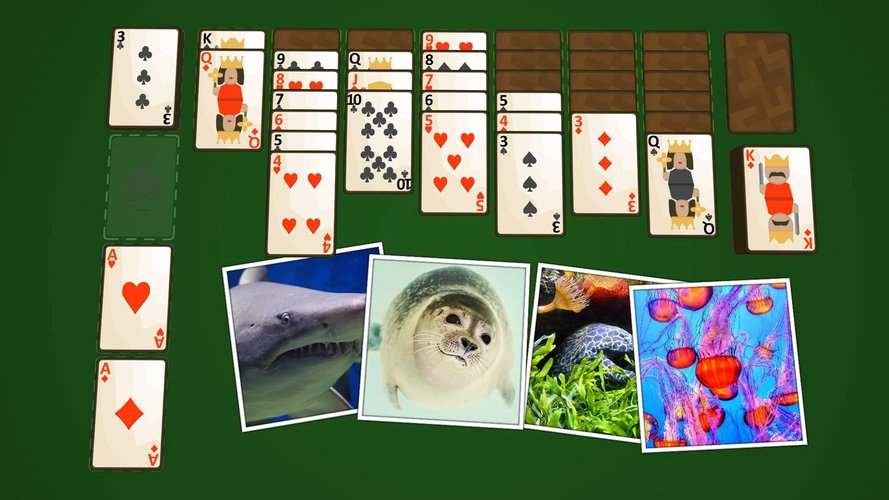 Solitaire Deniz Yaşamı MUAYENE screenshot 1