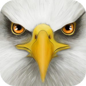 Ultimate Bird Simulator v1.2 APK screenshot 3