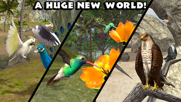 Ultimate Bird Simulator v1.2 APK screenshot 4