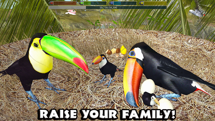 Ultimate Bird Simulator v1.2 APK screenshot 5