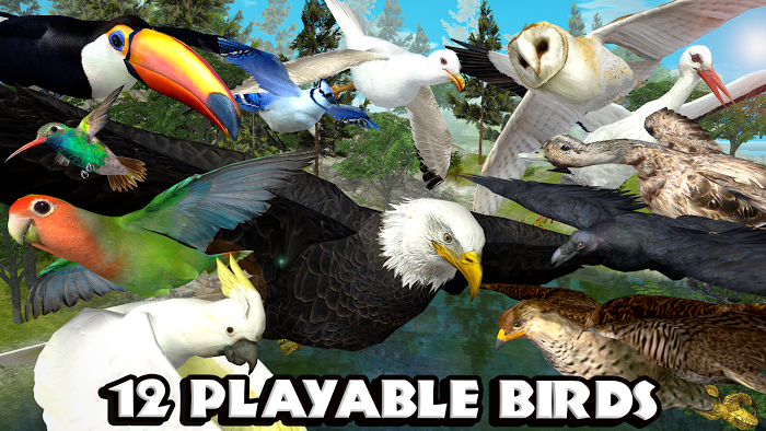 Ultimate Bird Simulator v1.2 APK screenshot 7