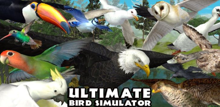 Ultimate Bird Simulator v1.2 APK screenshot 1