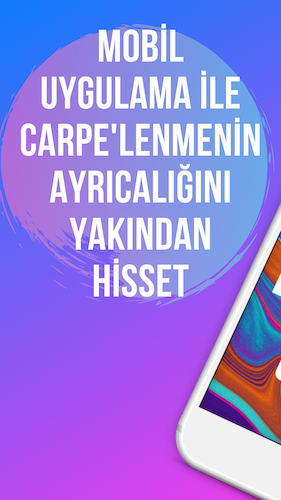 CarpeButik 1.0 screenshot 1