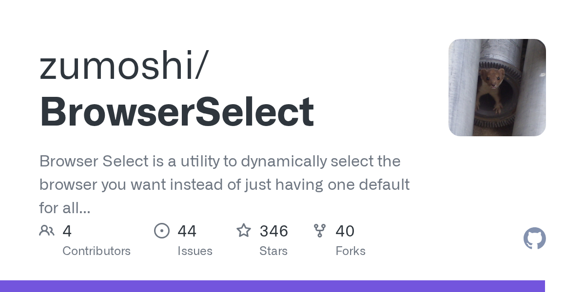 BrowserSelect -- select browser dynamically screenshot 1
