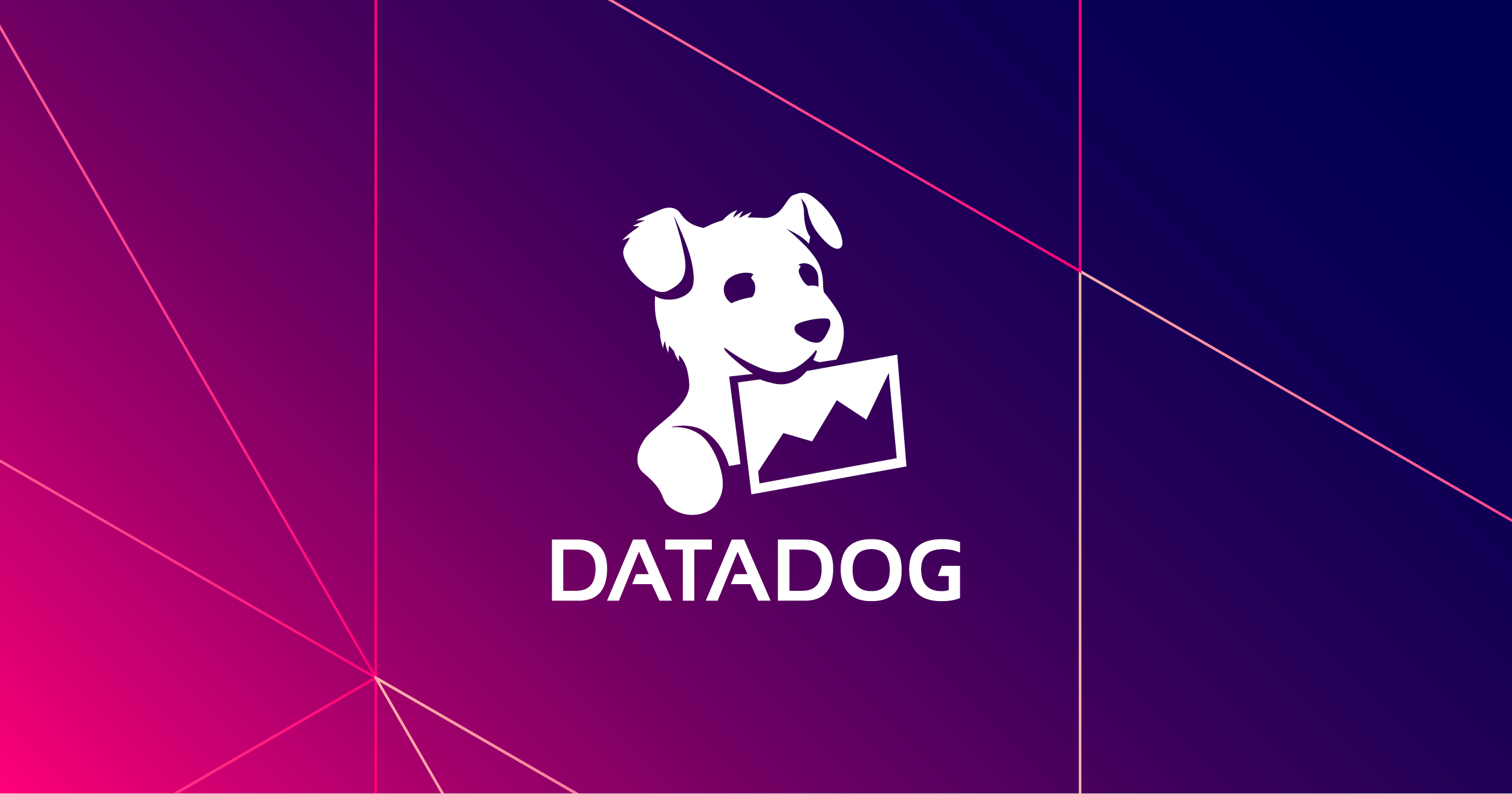 Datadog .NET Tracer screenshot 1