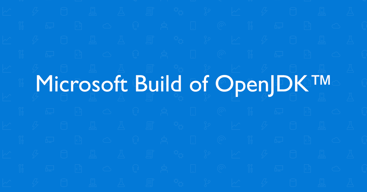 Microsoft Build of OpenJDK with Hotspot 16 screenshot 1
