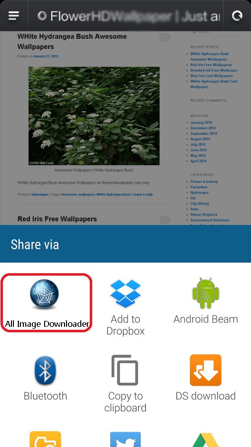 All Image Downloader - Search APK screenshot 1