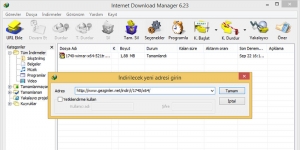 Internet Download Manager... Deneme Türkçe 6.5 MB