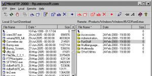 MicroFTP 2000 2.6