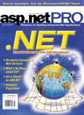 Microsoft ASP.NET Framework Redistributable