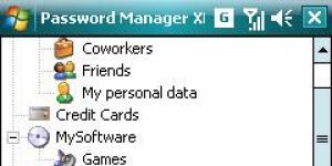 Password Manager XP 3.2.676 Deneme Türkçe 2.4 MB