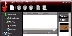 Pavtube YouTube FLV Downloader Pro 1.3.1