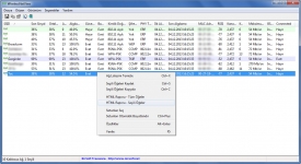 WirelessNetView 1.72