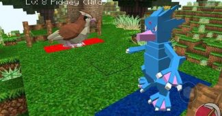 piksel craft: pixelmon GİDİP MUAYENE