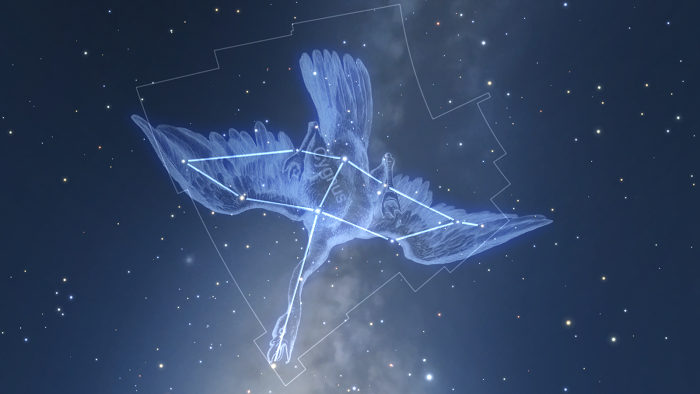  Star Chart VR- screenshot 